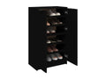 Armoire à chaussures noir 59x35x100 bois d'ingénierie HKRC28758