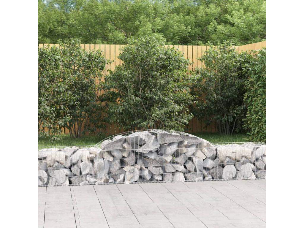 Paniers à gabions arqués 13 pcs 300x50x40-60 fer galvanisé DBHG39766