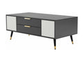 Table basse moderne gris-blanc - 2 portes 2 tiroirs d114cm×h15cm OSCV95988