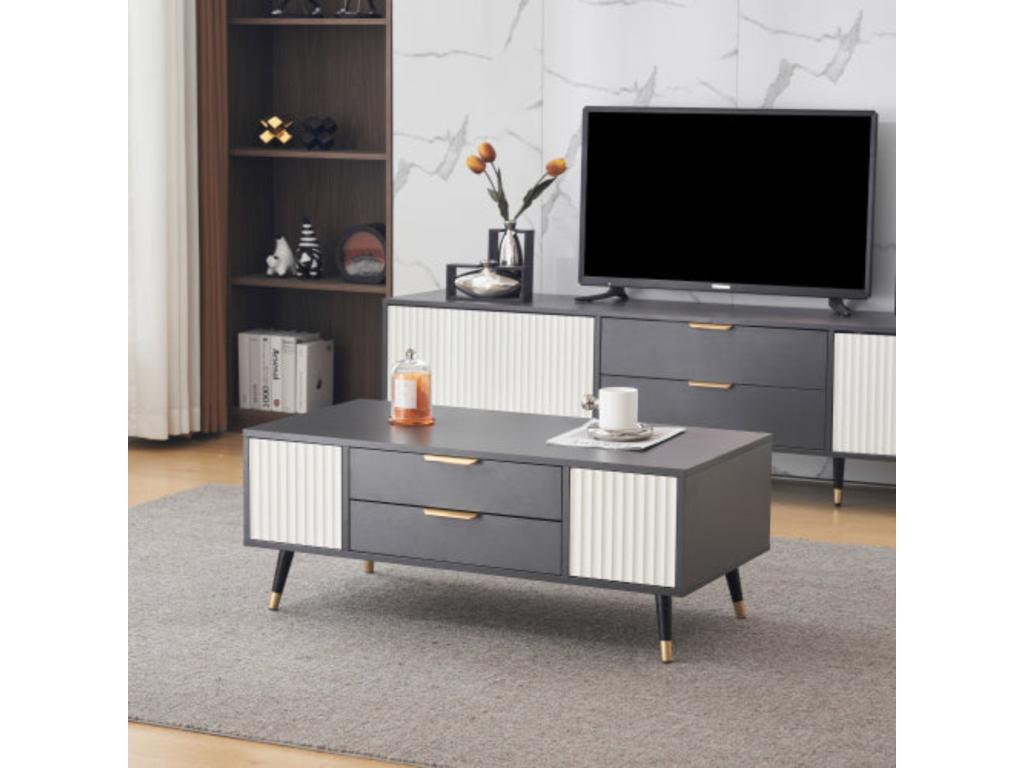 Table basse moderne gris-blanc - 2 portes 2 tiroirs d114cm×h15cm OSCV95988