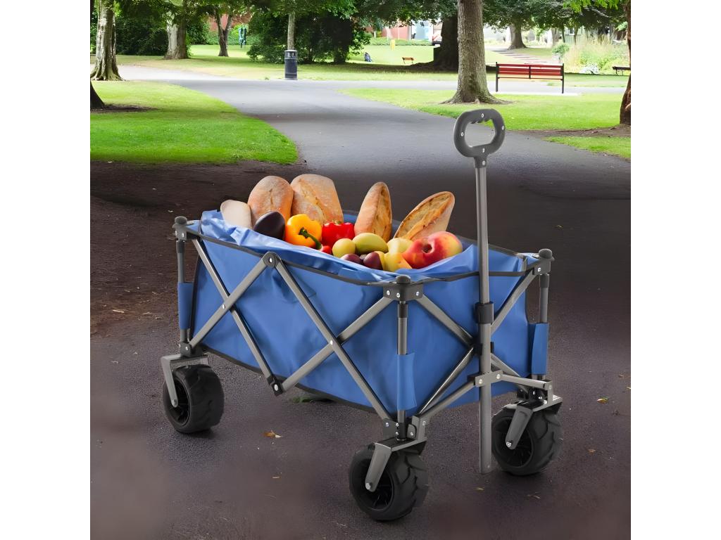 Chariot pliant à 4 roues capacité 100kg plage et jardin CARTO NEPO15215